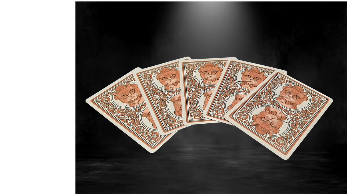 Naipes Bicycle Poker Cats V2