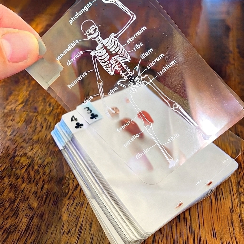 The Body Deck - The Human Anatomy Playing Cards