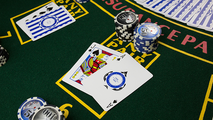 Fate Chip Playing Cards (Limited Edition) by US Playing Cards