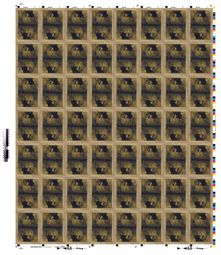 Un-Cut Sheet Bicycle Haunted