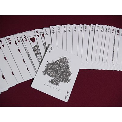 Anicca Deck (Silver) by Card Experiment