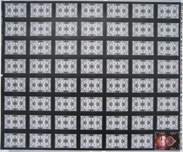 Un-Cut Sheet Bicycle Black Raider Playing Cards