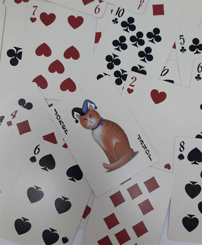 Naipes Bicycle Poker Cats (1000 Deck Club)