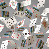 Denali | Playing Cards