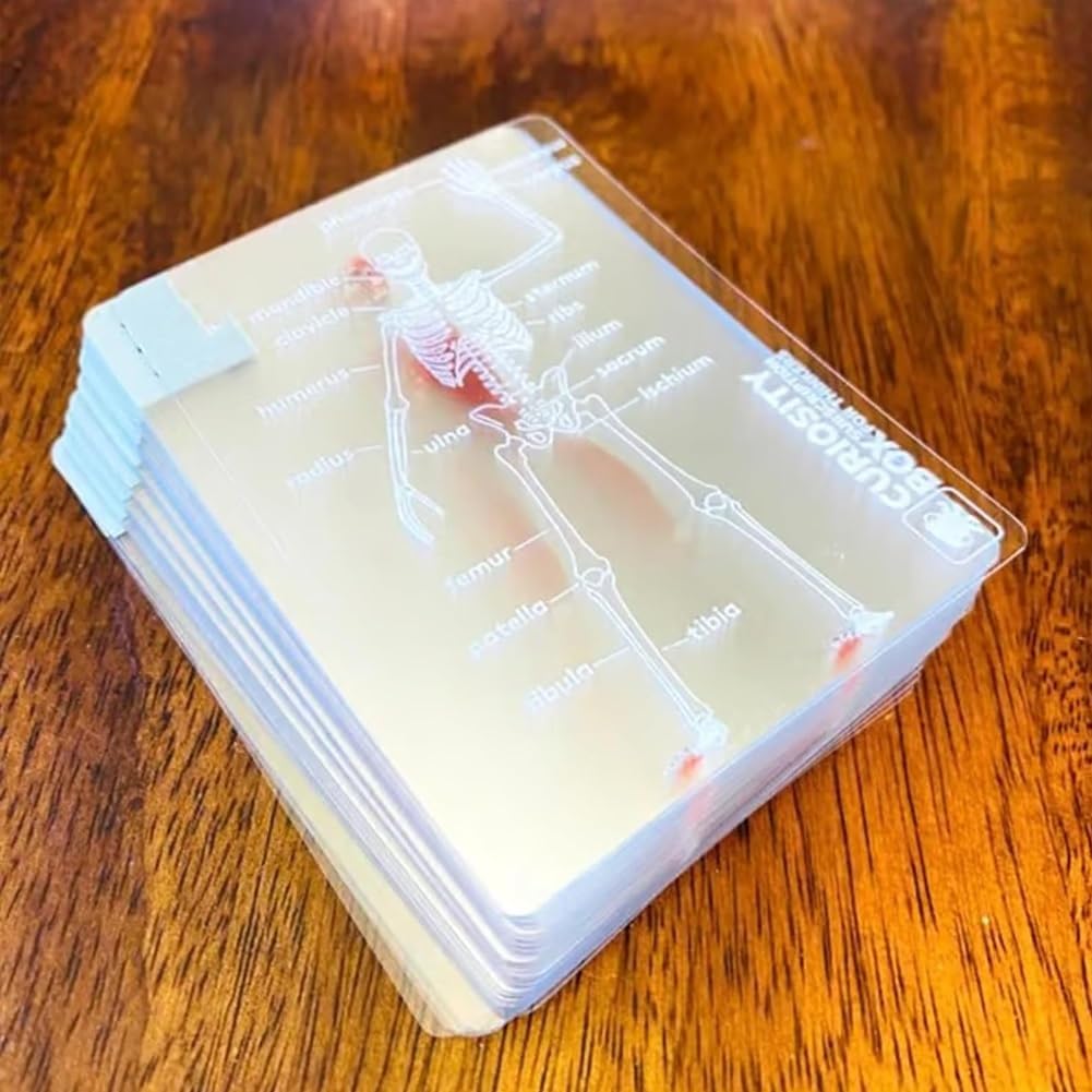 The Body Deck - The Human Anatomy Playing Cards