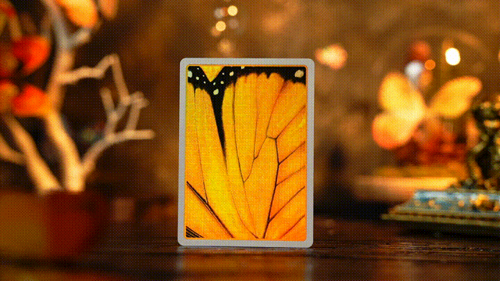 Amber Golden Morpho Playing Cards