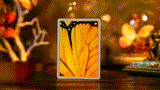 Amber Golden Morpho Playing Cards