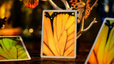 Amber Golden Morpho Playing Cards