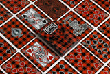 Bicycle Denim & Flannel Playing Card Set including Kaleidoscope Protector Case