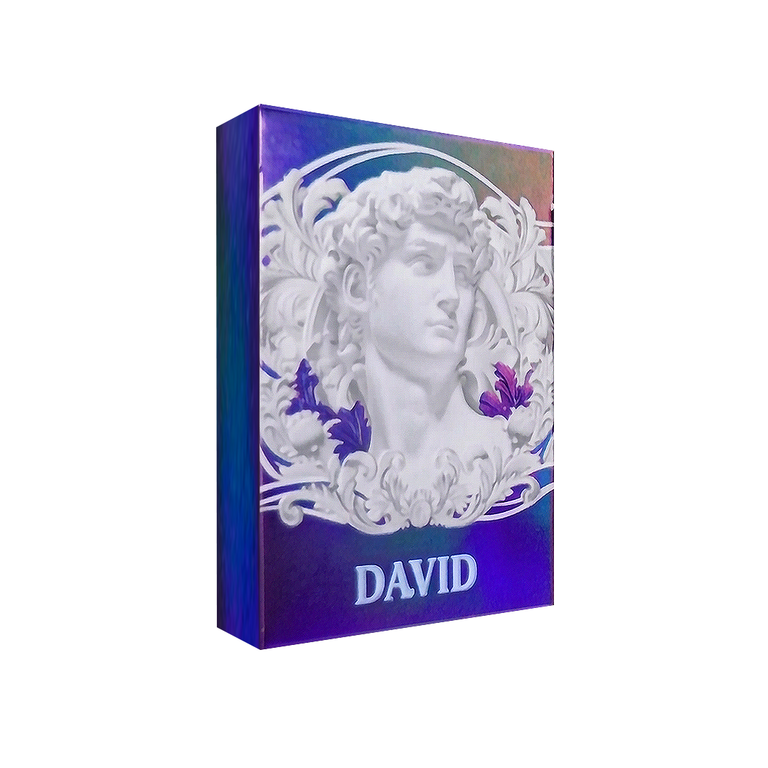 Alabaster David HOLO Playing Cards