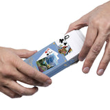 Glacier | Playing Cards