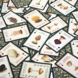 Mushroom Playing Cards