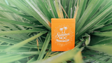 Limited Edition Summer NOC (Orange) Playing Cards